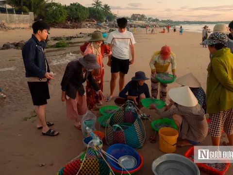 Chong đèn câu mực xuyên đêm, ngư dân thu tiền triệu mỗi ngày