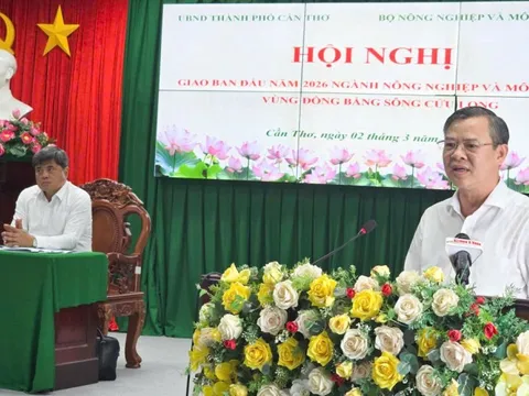 Nông nghiệp ĐBSCL 2026: Chủ động thị trường, không để bị động đầu ra