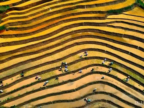 Khám phá sản phẩm du lịch danh thắng di sản ruộng bậc thang vùng Tây Bắc