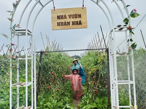 Ra mắt mô hình du lịch nông nghiệp VietHarvest AgriTour