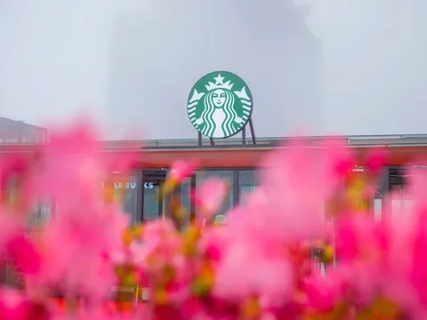 Starbucks Vietnam khai trương cửa hàng Starbucks Fansipan -Cửa hàng Starbucks cao nhất tại khu vực Châu Á