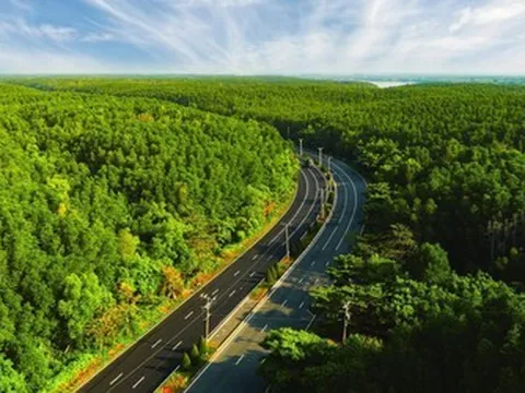 VnExpress Marathon Green Paradise Cần Giờ - Hành trình vạn bước chạy “đánh thức” biểu tượng du lịch mới của TP.HCM