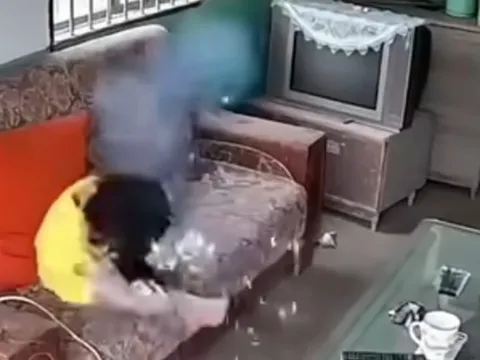 Đang ngồi chơi điện thoại bé gái bất ngờ hét lớn, bố mẹ chạy vào thấy cảnh tượng đáng sợ