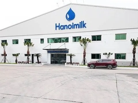 Cổ phiếu Hanoimilk liên tục “chuyền tay” nội bộ
