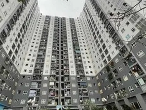 Khởi tố vụ lừa đảo hơn 40 tỷ đồng liên quan các dự án nhà ở xã hội ở Hà Nội