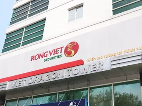 Kido Foods nâng sở hữu tại Chứng khoán Rồng Việt