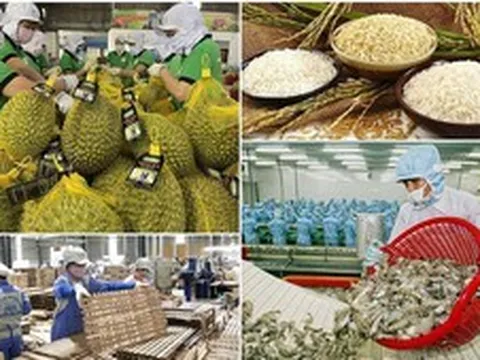 Chủ động thích ứng với Lệnh 280 khi xuất khẩu thực phẩm sang Trung Quốc