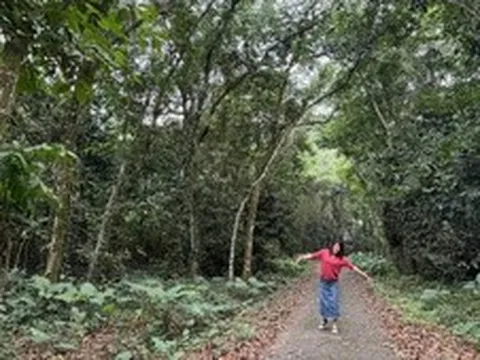 Đặt cộng đồng vào trung tâm của phát triển rừng