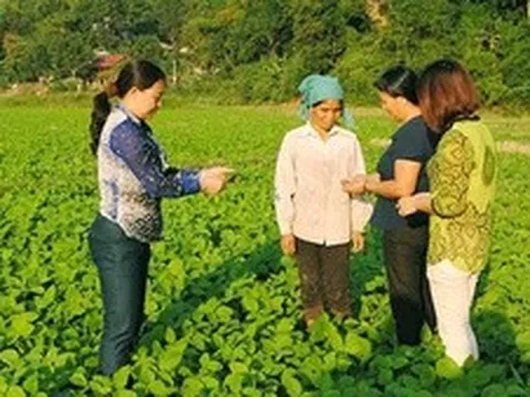 "Người dẫn đường" quan trọng của nông dân trong kỷ nguyên mới