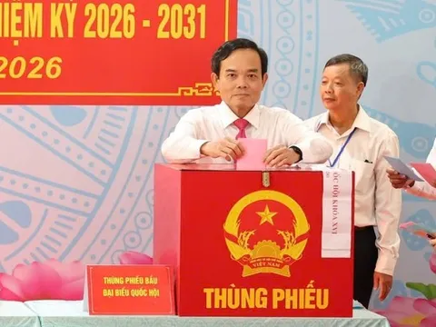 Tp.HCM chốt danh sách 125 đại biểu HĐND khóa mới, hơn 9,4 triệu cử tri tham gia bầu cử