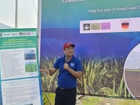Nhân rộng mô hình sạ khô cơ giới hóa: Giải pháp mới cho sản xuất lúa bền vững, giảm phát thải