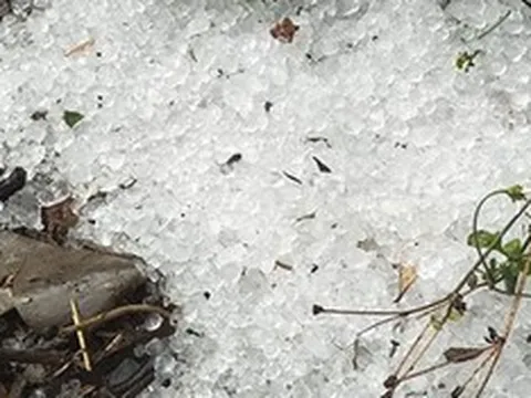 Mưa đá, giông lốc "càn quét" miền Bắc: Hàng trăm nhà tốc mái, hoa màu tan hoang