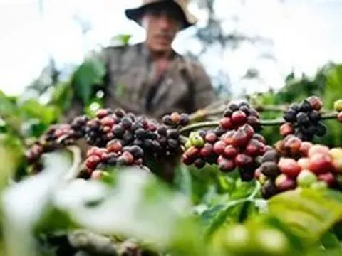 Kêu gọi doanh nghiệp chia sẻ khó khăn với nông dân trước biến động toàn cầu