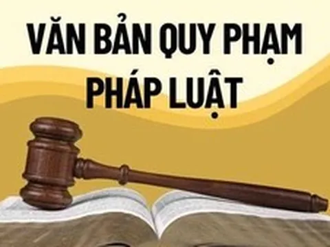 Chính phủ thống nhất nội dung Đề án về tổng rà soát hệ thống văn bản quy phạm pháp luật