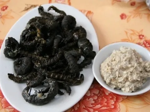 Con vật nhìn "sợ phát khóc" ở Tây Bắc xưa không ai ngó, nay thành món lạ, dân nhậu săn lùng