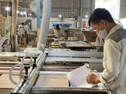 Vật liệu gỗ xây dựng: Góc nhìn từ thị trường nguyên liệu đến chiến lược lâm nghiệp