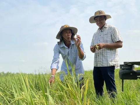 Bộ NN&MT xây dựng kịch bản sản xuất trước tình hình xung đột Trung Đông