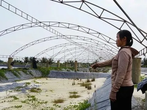 Chưa kịp “đổi đời” đã ôm khoản nợ tiền tỷ vì nuôi tôm