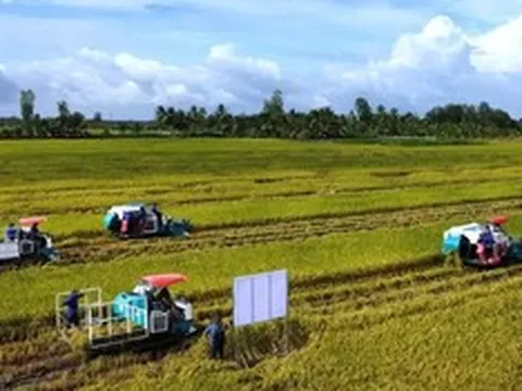 Doanh nghiệp, hiệp hội chung tay giữ nhịp sản xuất nông nghiệp