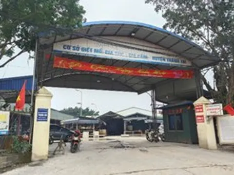 Đường dây “thịt lợn bẩn” 300 tấn tuồn vào trường học: Trạm trưởng "bảo kê" vì lương thấp?