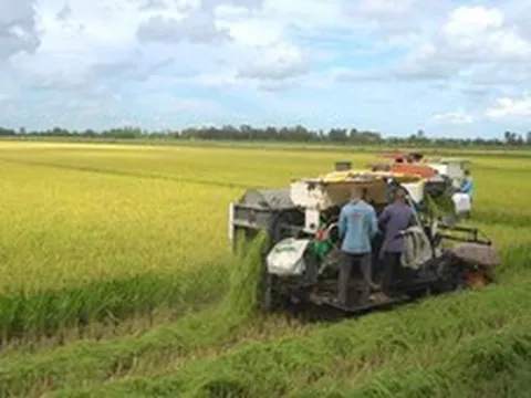 Xuất khẩu nông, lâm, thủy sản quý I đạt gần 16,7 tỷ USD