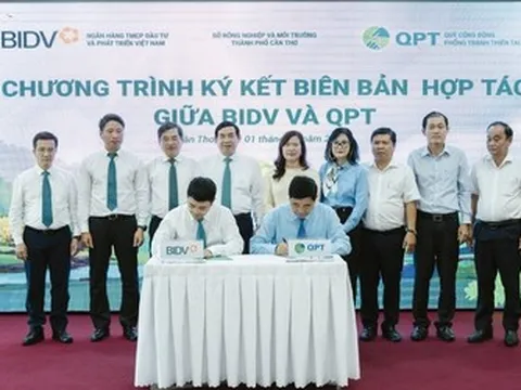 BIDV và QPT hợp tác trồng 240.000 cây xanh tại Đồng bằng sông Cửu Long