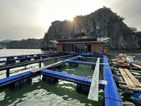 Nuôi trồng thủy sản tạo chuỗi liên kết xanh