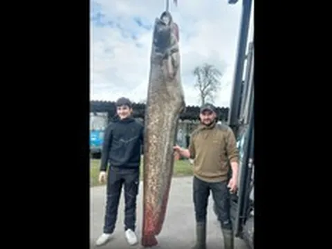 Ngư dân câu được con cá trê khổng lồ nặng 109kg trong hồ