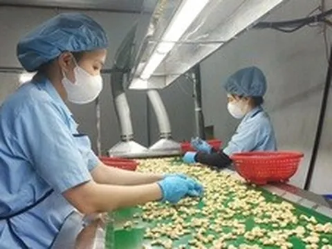 Nông sản xuất khẩu: Chủ động trước 'cú sốc' Trung Đông