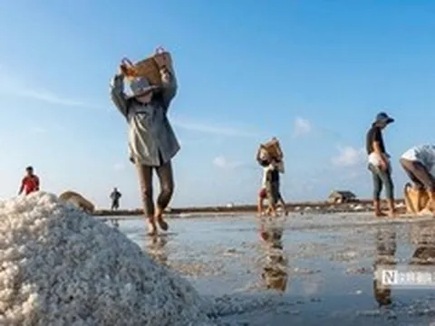 Theo chân diêm dân “nuôi” muối giữa nắng, gió và mồ hôi