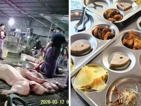 Thực phẩm bẩn, chuyện không chỉ ở nhà trường...