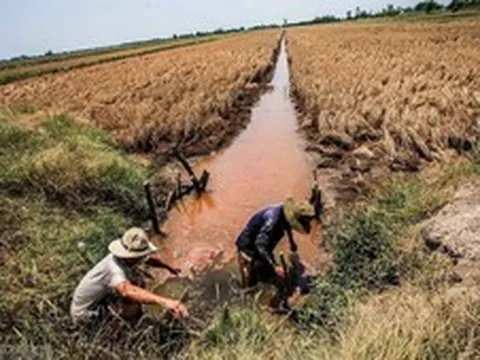 Gia tăng xâm nhập mặn tại Đồng bằng sông Cửu Long
