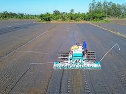 Quản lý dinh dưỡng chính xác: Giải pháp đột phá cho canh tác lúa tại ĐBSCL