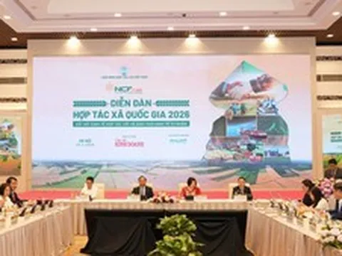 Kết nối hợp tác xã với kinh tế tư nhân: Tạo động lực phát triển mới