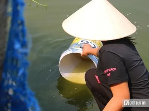 Người dân khốn khổ vì mất nước sạch hơn 1 tháng giữa thời tiết nắng nóng