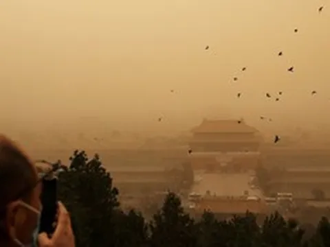 Cứ đêm đến quạ đen kéo kín trời ở Tử Cấm Thành, sự thật khiến ai cũng rợn người