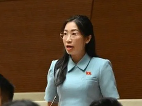 ĐBQH đề nghị bổ sung quy định xử lý trường hợp thông tin công khai không đầy đủ
