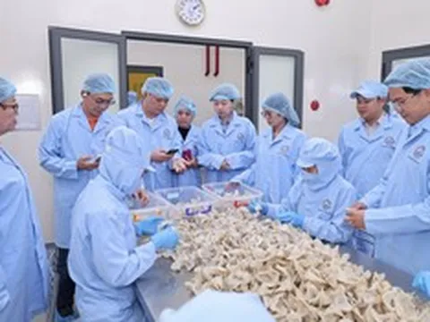 Sanvinest Khánh Hòa: Tăng lợi nhuận nhờ kiểm soát chi phí