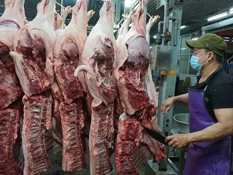 Tp.HCM: Tăng cường kiểm dịch, kiểm soát giết mổ động vật