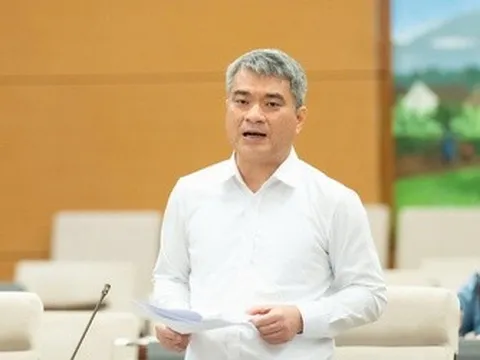 Đề xuất thực hiện thí điểm chế định luật sư công trong 2 năm