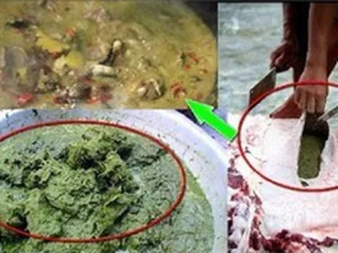 Nghe tên đã rùng mình, đặc sản này lại được xem là món ngon thượng hạng