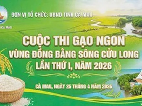 Cà Mau tổ chức Cuộc thi Gạo ngon vùng ĐBSCL lần thứ I năm 2026