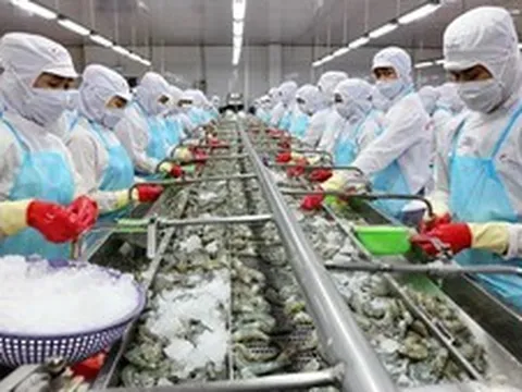 Chuyển đổi ngành tôm: Từ tăng trưởng nhanh đến phát triển bền vững