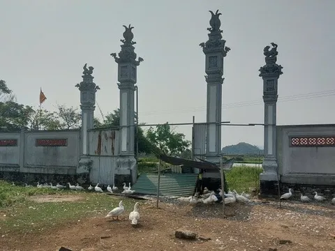 Dự án đền thờ tổ nghề ca trù thành nơi... chăn vịt, chính quyền nói gì?
