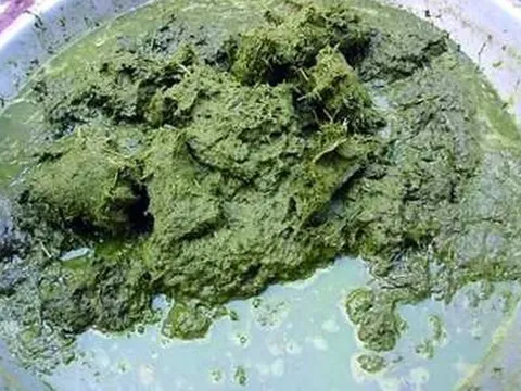 Món ăn "kinh dị nhất thế giới": Lẩu phân bò nặng mùi, thử một lần là nhớ đời