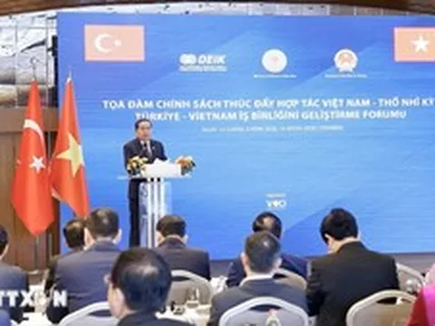 Thúc đẩy mạnh mẽ hợp tác kinh tế, thương mại, đầu tư và du lịch giữa Việt Nam - Thổ Nhĩ Kỳ
