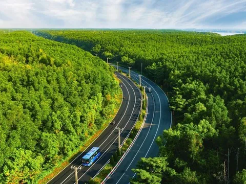 5.000 runners đếm ngược tới ngày “detox phổi” tại “mỏ oxy khổng lồ” của TP.HCM