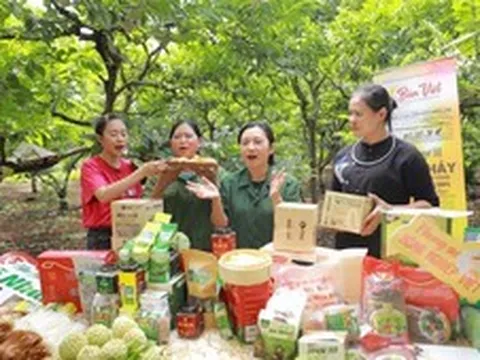 Đưa nông sản lên sàn thương mại điện tử: Hướng đi chiến lược cho kinh tế số nông nghiệp Live