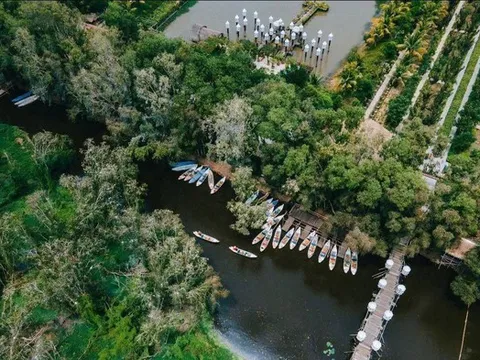 Trà Sư: Bản giao hưởng diệp lục giữa miền Tây huyền tích