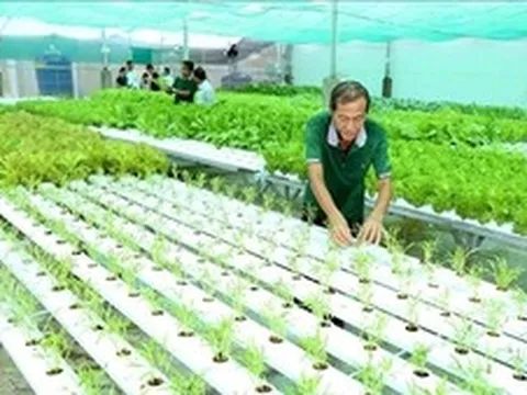 'Hàng rào xanh' của EU: Cần sự thay đổi tư duy của doanh nghiệp